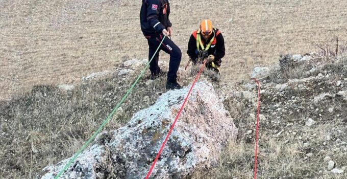 Çınarardı Köyünde Mahsur Kalan Kuzular AFAD Tarafından Kurtarıldı