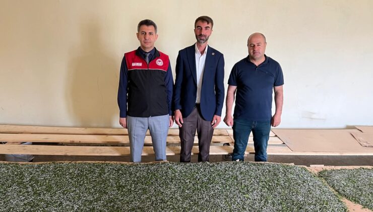 İl Müdürü Gönç, İpekböceği Yetiştiriciliği Çalışmalarını Yerinde İnceledi