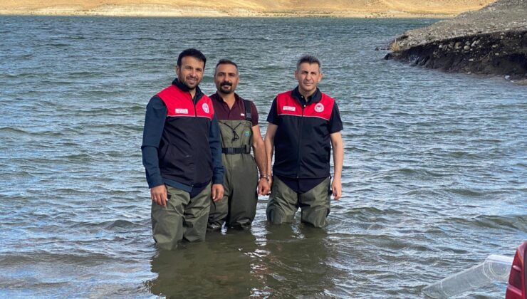 Muş’ta Göletlere 600 Bin Sazan Yavrusu Bırakıldı