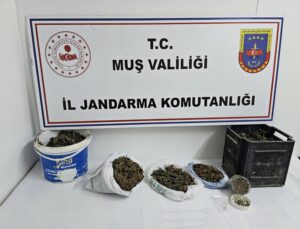 Muş’ta Uyuşturucu Operasyonu: 1 Şüpheli Gözaltında