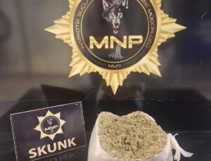 Muş’ta Yolcu Otobüsünde 2 Kiloyu Aşkın Skunk Ele Geçirildi