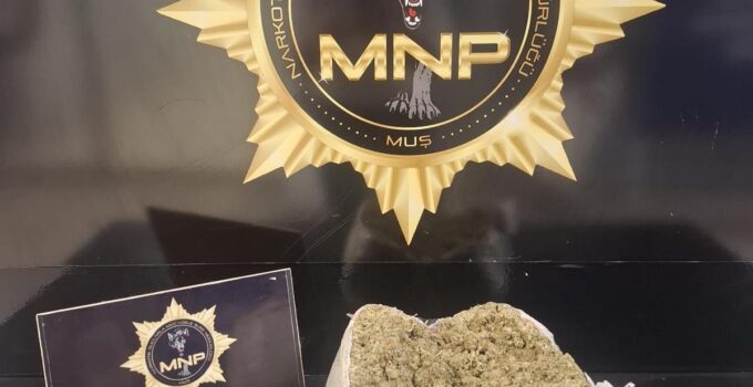 Muş’ta Yolcu Otobüsünde 2 Kiloyu Aşkın Skunk Ele Geçirildi