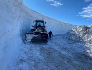 Karla Mücadele Çalışmaları Aralıksız Sürüyor