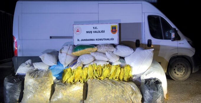 Muş’ta Kaçak Tütün Operasyonu: 1 Şüpheli Gözaltında