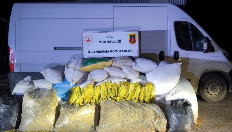 Muş’ta Kaçak Tütün Operasyonu: 1 Şüpheli Gözaltında