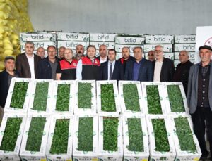 TAKE Projesi Kapsamında Üreticilere %75 Hibeli Sebze Fidesi Desteği