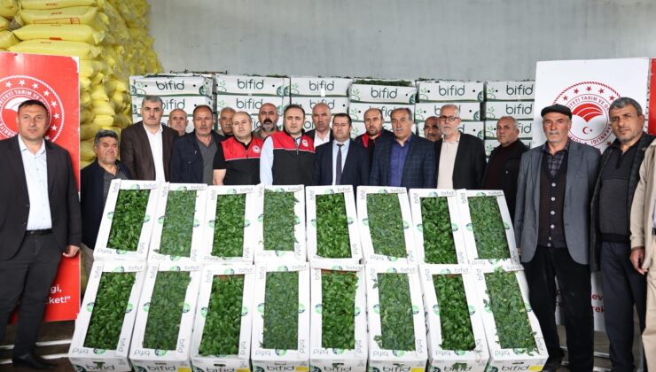 TAKE Projesi Kapsamında Üreticilere %75 Hibeli Sebze Fidesi Desteği