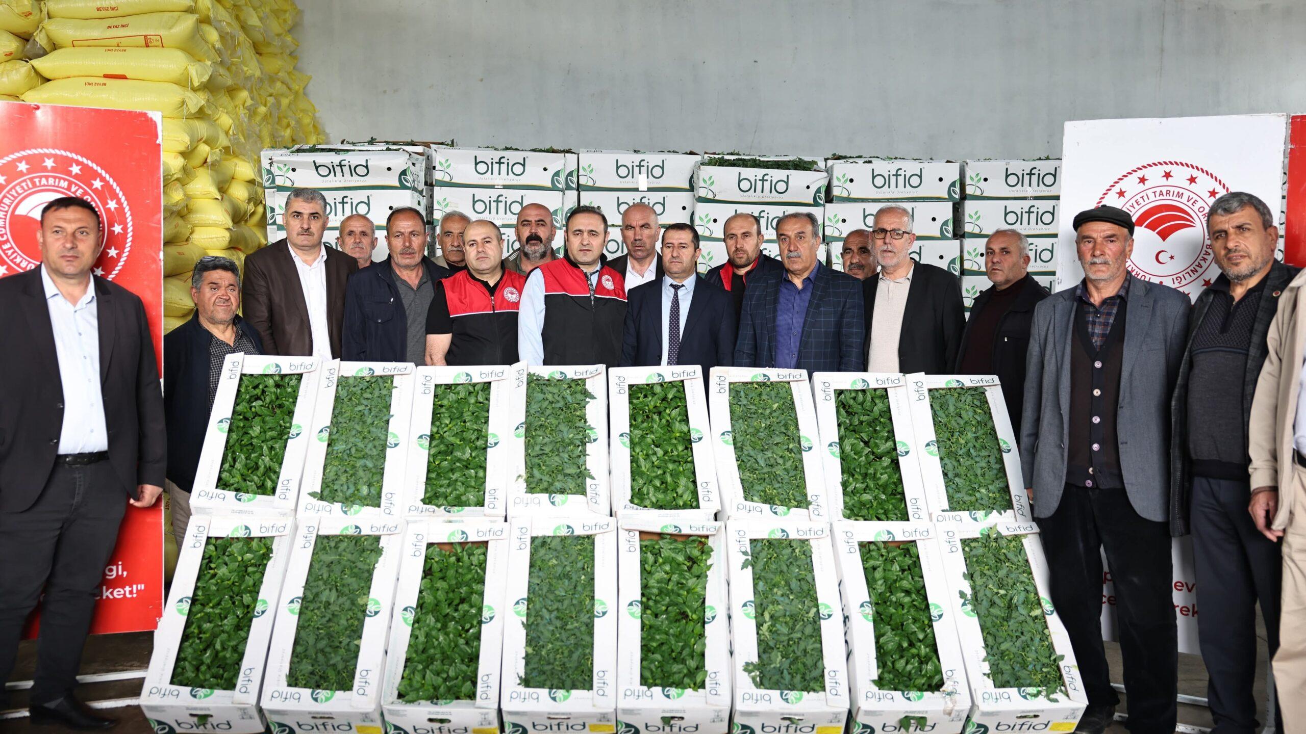 TAKE Projesi Kapsamında Üreticilere %75 Hibeli Sebze Fidesi Desteği