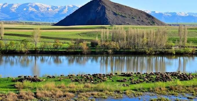 Muş’ta Baraj Kenarında Erkek Cesedi Bulundu