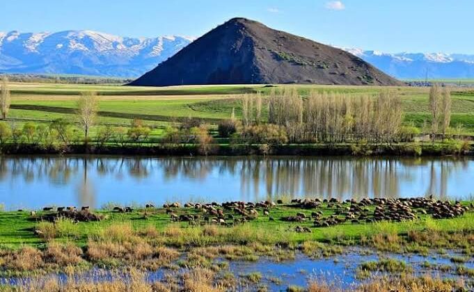 Muş’ta Baraj Kenarında Erkek Cesedi Bulundu